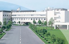 DISCOVERY AND PRECLINICAL RESEARCH DIVISION: TOKUSHIMA AREA
